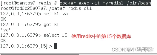 docker对软件的要求 docker必装软件_docker_41